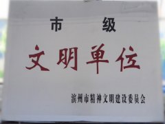 喜訊！公司榮獲“市級(jí)文明單位”稱號(hào)