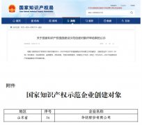 公司獲國家知識產(chǎn)權(quán)強國建設示范企業(yè)創(chuàng)建對象